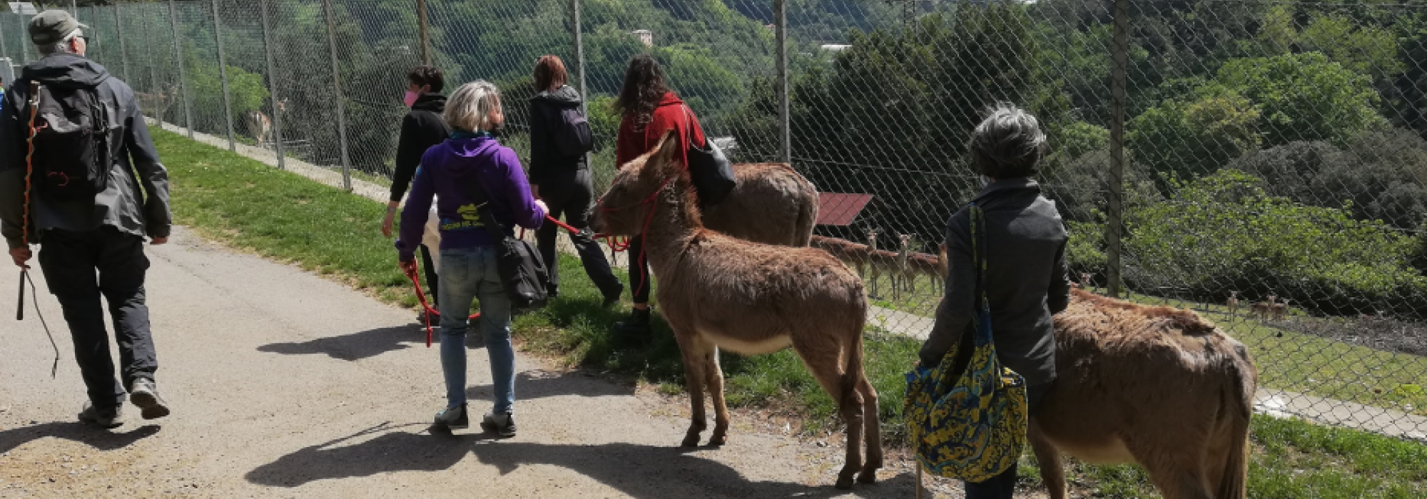 Trekking con pony