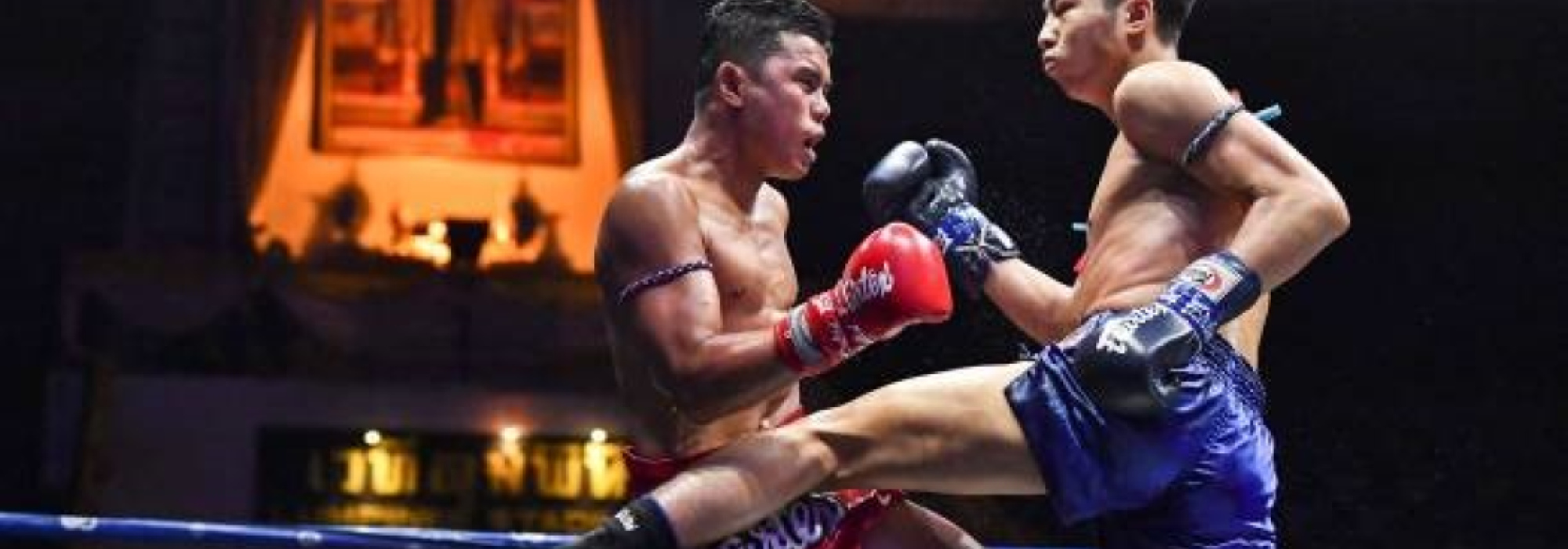Fight Games