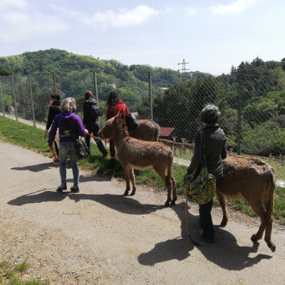 Trekking con pony